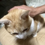 biscaca日記
