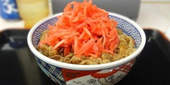 突然家に来た彼氏が勝手に冷蔵庫を開けマイ牛丼紅生姜スペシャルを見てしまい「食べ物を粗末にする奴は無理だ」と唐突に別れを告げられた