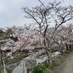 ふら～っとママのときどき通信