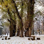 空もよう、心もよう ～ sora koko.