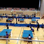 QUARTET卓球ﾁｰﾑ