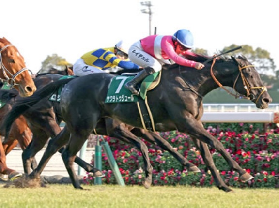 【フェブラリーS】初ダートのサクラトゥジュール堀師「脚がたまればダートでも脚は使える」