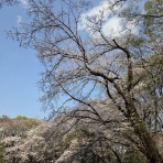 フランチャイズ地獄からの脱出  藤原義塾からの報告書