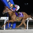 【当たる！？レース予想】～2026.05.14(木) 3回門別2日目～ メインは第3回フロイラインスプリント〔H3〕！