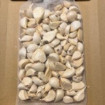 日々を生きる