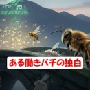 ある働きバチの独白
