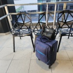 きまじめチキン日記