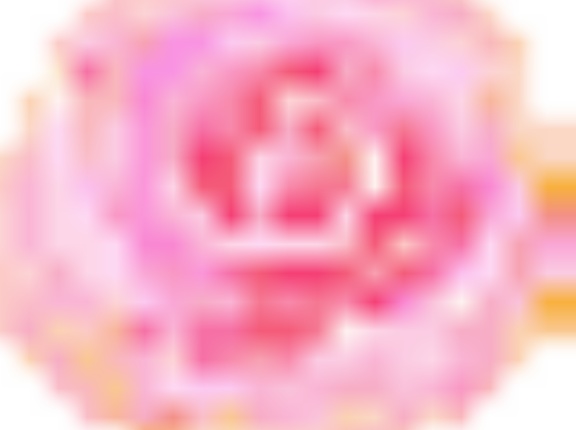 ☆Sale90%OFF★Diamanteパリケープ★ピンク×ベージュ、残り3枚☆