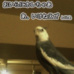 オカメクインテット