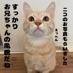 のっぴきならない。