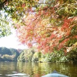 ��12��5����6���������й��ե���å��ĥ����٤β���