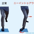 ニーイン