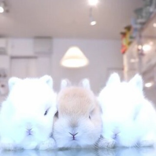 うのくらし