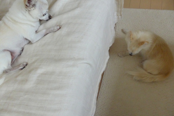 P House ぷく Powered By ライブドアブログ