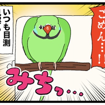 【店員が悪い】カゴの中の止まり木の位置が………………