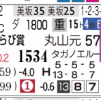 ハイブリッド競馬新聞