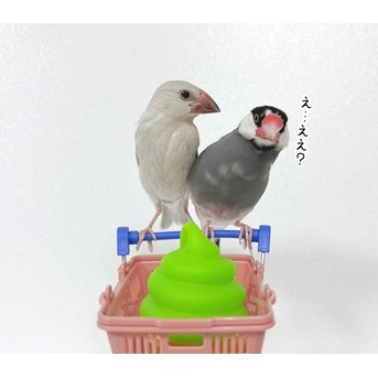 ジルが欲しがったもの