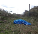 土曜日の五里合