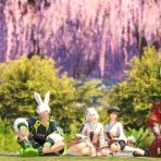 FF14フリートライアルでも楽しいもん!