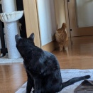 あら～　きいろちゃんと言っているような