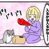 『お風呂を覗こうとしました、すみません。』の画像