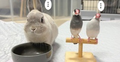 自己紹介をお願いします