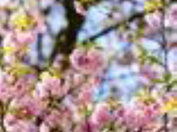 【占星術人生相談】「現在５５歳ですが、６０歳の定年時に投資で食べていけるような目標を持っているのですが、占星術的な見地から可能なのか見ていただきたいです。」