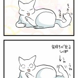 過敏症持ちボンくんの話