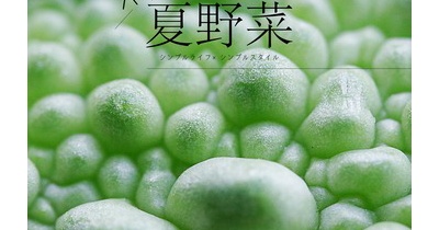 ハマった夏野菜