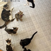 いくらなんでも暑過ぎる。