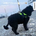 ぱっぽとにゃんの仲良しブログ♡♡♡