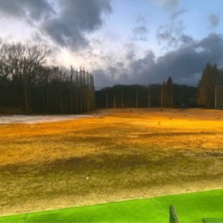 ドレミの日記　～no cat no life. I am a widow.～