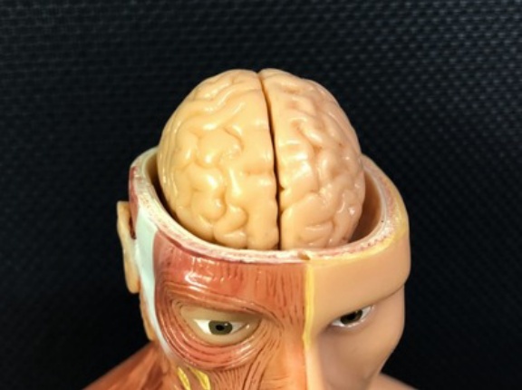 ASDとかいう呪いのような障害について