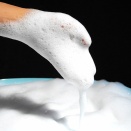 光マイクロバブルフォームとは何か（6250回記念）（11）