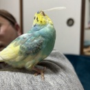 最近ゲットしたもの♪