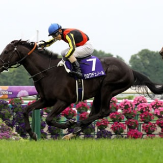 ☆うまなみ・競馬にゅーす速報
