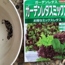 レタスミックス　2026秋