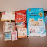 『マフィンくんの里親様、たくさんのご支援をありがとうございました。』の画像