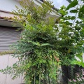 ご近所さんの話
