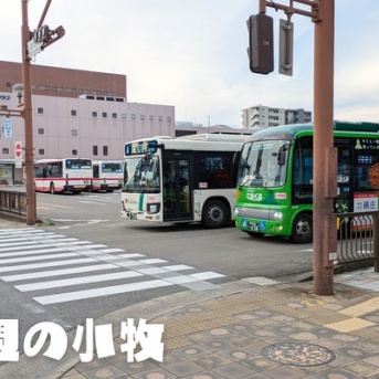 10/28(月)~11/3(日)の小牧のニュースや出来事をピックアップ【今週のこまき】