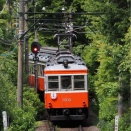 新緑の箱根登山鉄道へ
