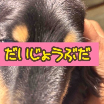 どんポコで病院。