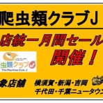 爬虫類クラブＪ千葉ニュータウン店