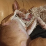 いつでもきょろきょろ