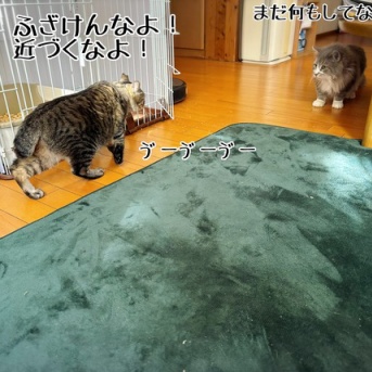 可哀想なぐらい女子ウケ悪い村尾