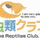 【新入荷速報：ニシアフ入荷！！】