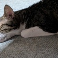 そら君　いい夢見てそうね