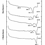 高分子-ミクロの世界-