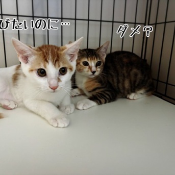 無事帰宅♪