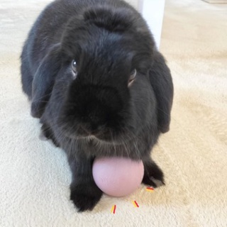 ぶ〜に〜の暮らし